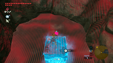 青いエビシャツ入手場所詳細