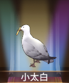 少女廻戦の小太白