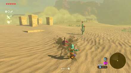 ブレスオブザワイルド口を閉ざした剣士の目印②