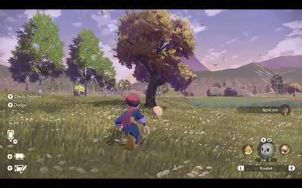 ぼんぐりを拾う