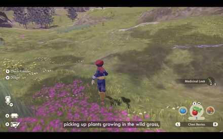 マップ上に落ちている