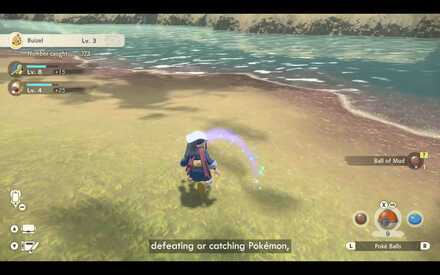 ポケモンを倒すと拾える