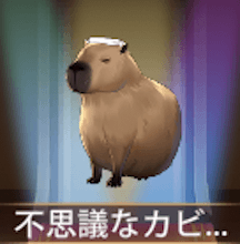 少女廻戦の不思議なカビパラ