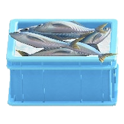 サカナのコンテナ画像