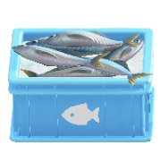 サカナのコンテナのサカナの画像