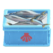 サカナのコンテナのホタテの画像