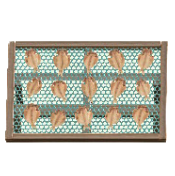 ひもののサカナの画像