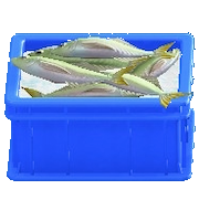 サカナのコンテナのブルーの画像