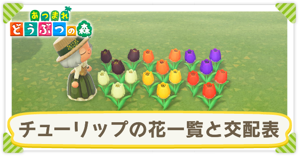 チューリップの花一覧と交配表