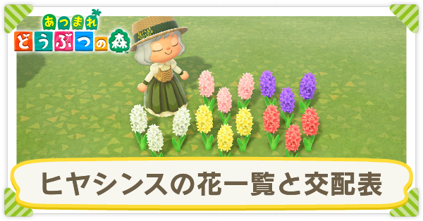 ヒヤシンスの花一覧と交配表