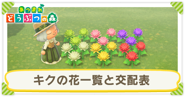 キクの花一覧と交配表