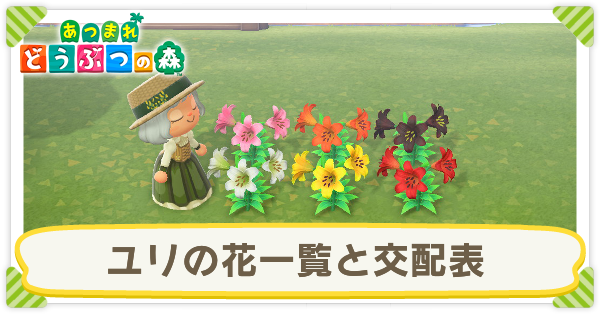 ユリの花一覧と交配表