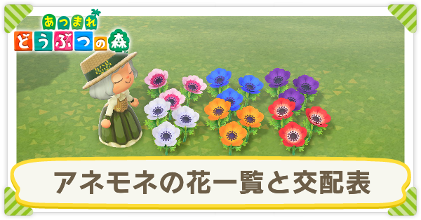 アネモネの花一覧と交配表