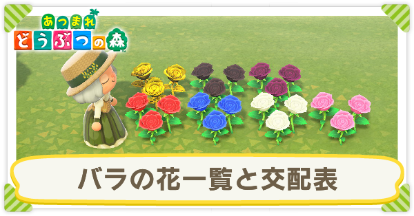 森レア、まとめorバラで！ あつ森】バラの花(種類)一覧と交配表【あつまれどうぶつの森