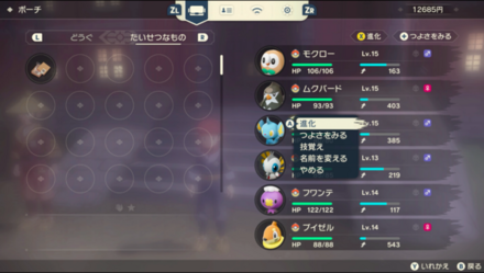 進化メニューのポーチから進化