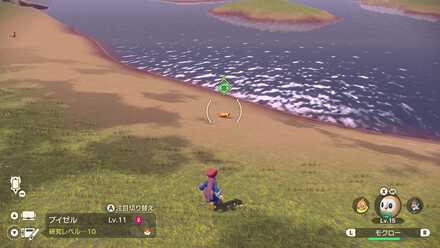 眠っているポケモン後ろから捕まえる