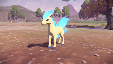 色違いポニータ