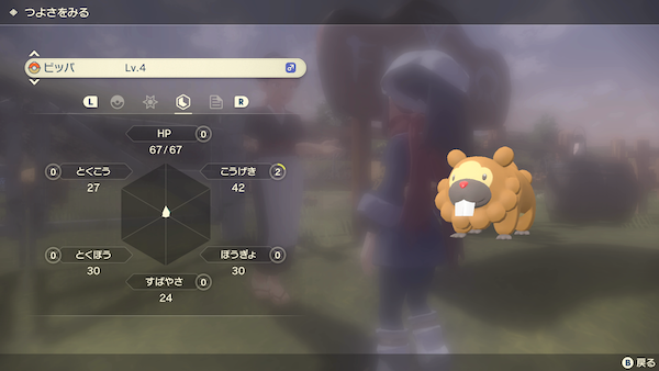 ビッパ：検証3匹目