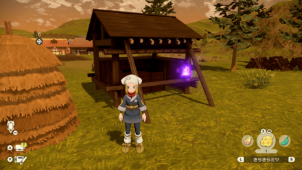 ポケモンアルセウスのともしび6場所