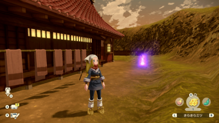 ポケモンアルセウスのともしび3場所