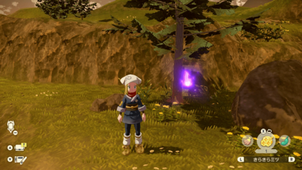 ポケモンアルセウスのともしび7場所