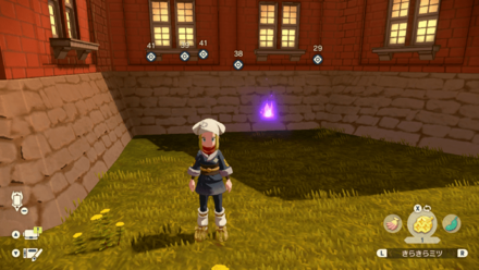 ポケモンアルセウスのともしび2場所