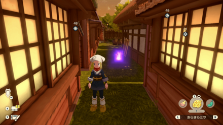 ポケモンアルセウスのともしび5場所