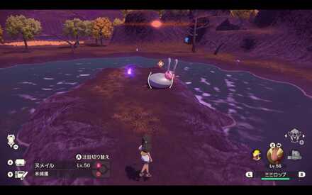 オヤブンヒスイヌメイルの出現場所