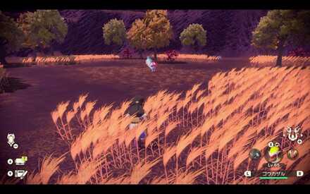 オヤブンパチリスの出現場所