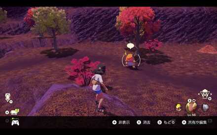 オヤブンライチュウの出現場所