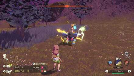 オヤブンルクシオの出現場所