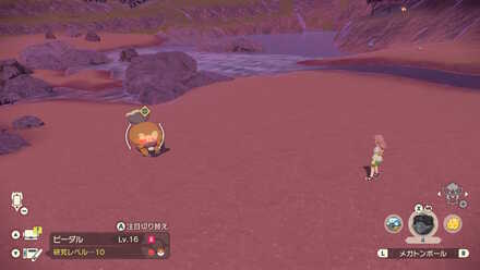 オヤブンビーダルの出現場所