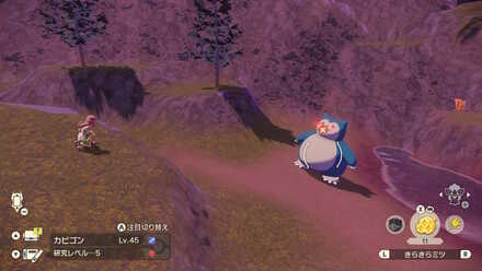 オヤブンカビゴンの出現場所