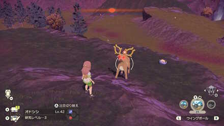 オヤブンオドシシの出現場所