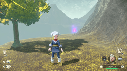 ポケモンアルセウスのともしび45場所