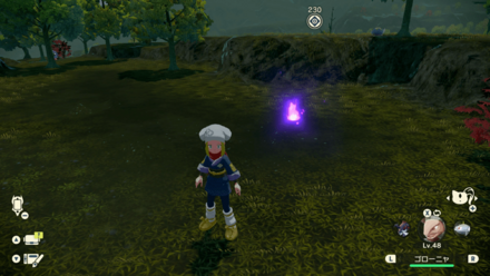 ポケモンアルセウスのともしび42場所