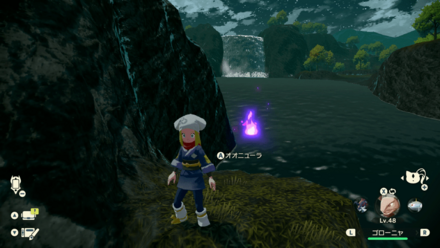 ポケモンアルセウスのともしび39場所