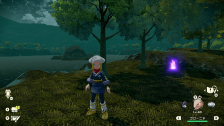 ポケモンアルセウスのともしび40場所