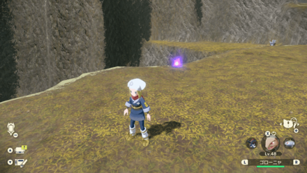 ポケモンアルセウスのともしび47場所