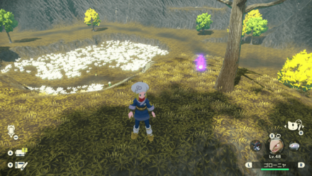 ポケモンアルセウスのともしび36場所