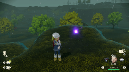 ポケモンアルセウスのともしび38場所