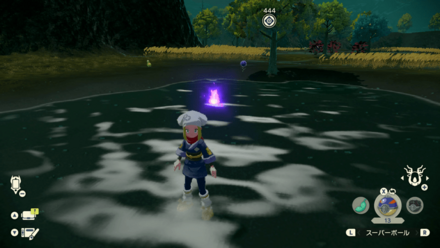 ポケモンアルセウスのともしび31場所