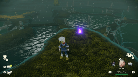 ポケモンアルセウスのともしび29場所