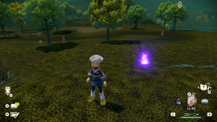 ポケモンアルセウスのともしび30場所