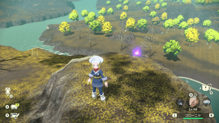 ポケモンアルセウスのともしび37場所