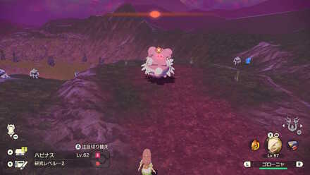 オヤブンハピナスの出現場所