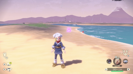 ポケモンアルセウスのともしび54場所