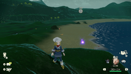 ポケモンアルセウスのともしび50場所