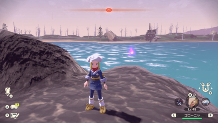 ポケモンアルセウスのともしび55場所