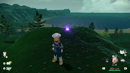 ポケモンアルセウスのともしび48場所